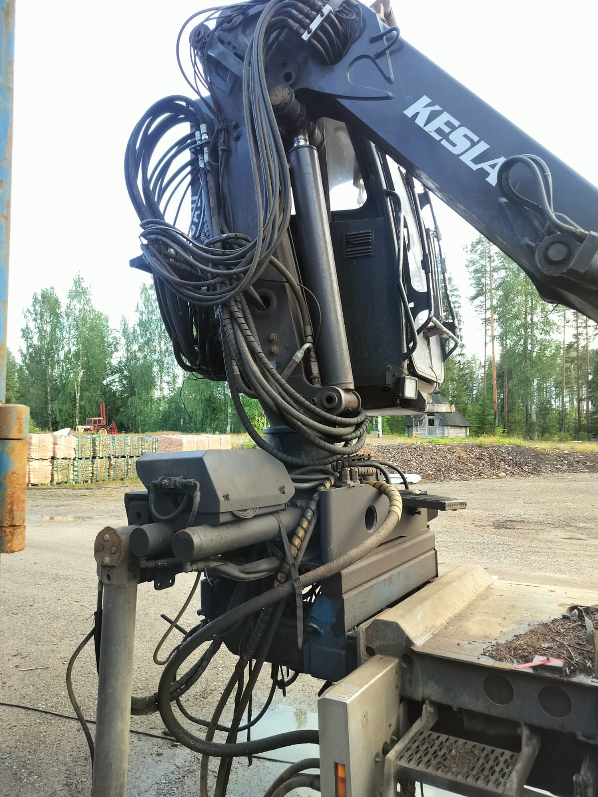 WhatsApp Image 2025-08-26 at 16.49.30